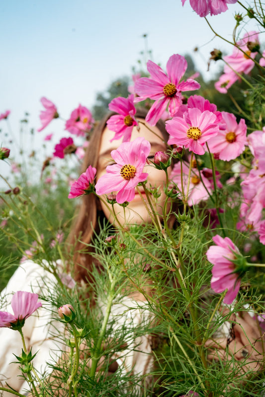 The Essence of Libra