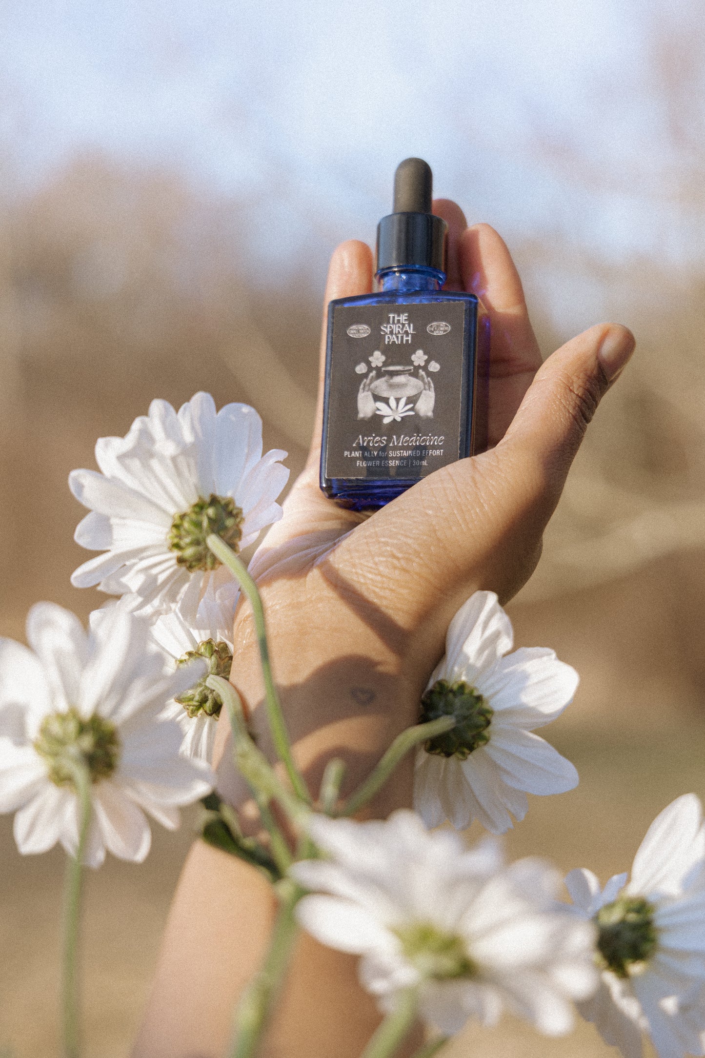 Aries Medicine