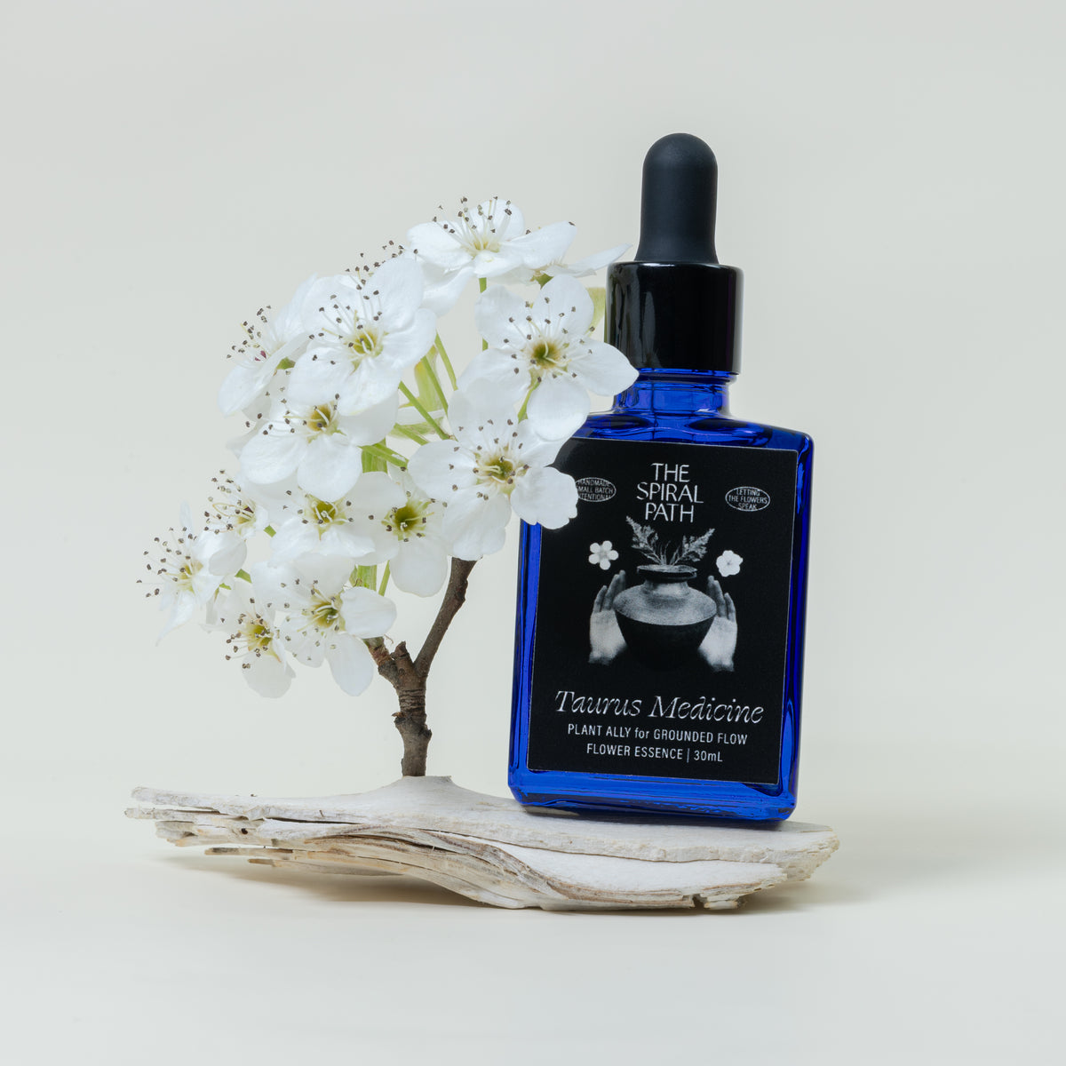 Taurus Medicine