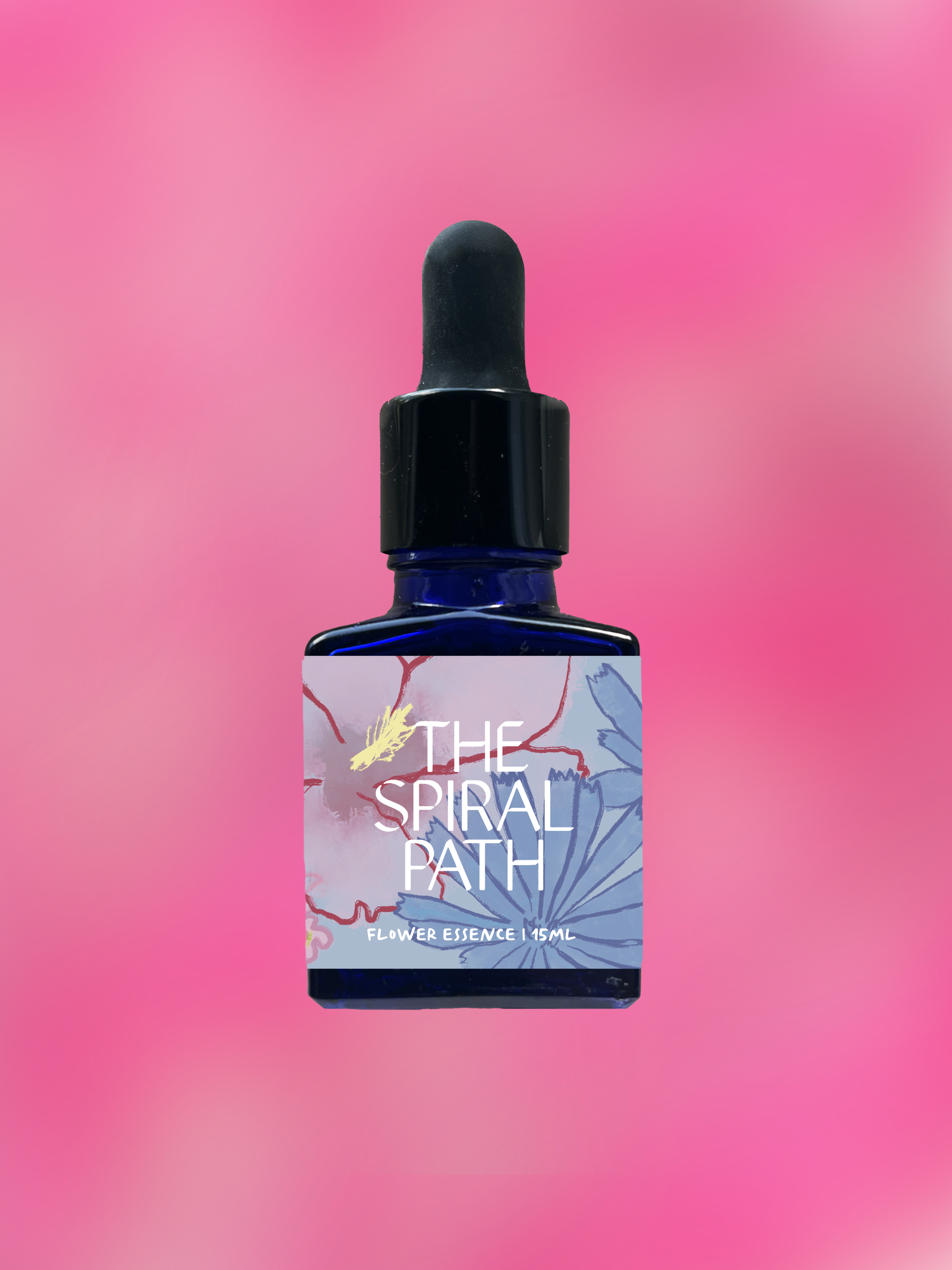 Small batch organic flower essence - feminine healing, 15mL, blue glass bottle with dropper. This essence supports emotional healing and is a sensitive medicine for sensitive people. Bleeding Heart flower essence is a plant ally for energetic sovereignty.