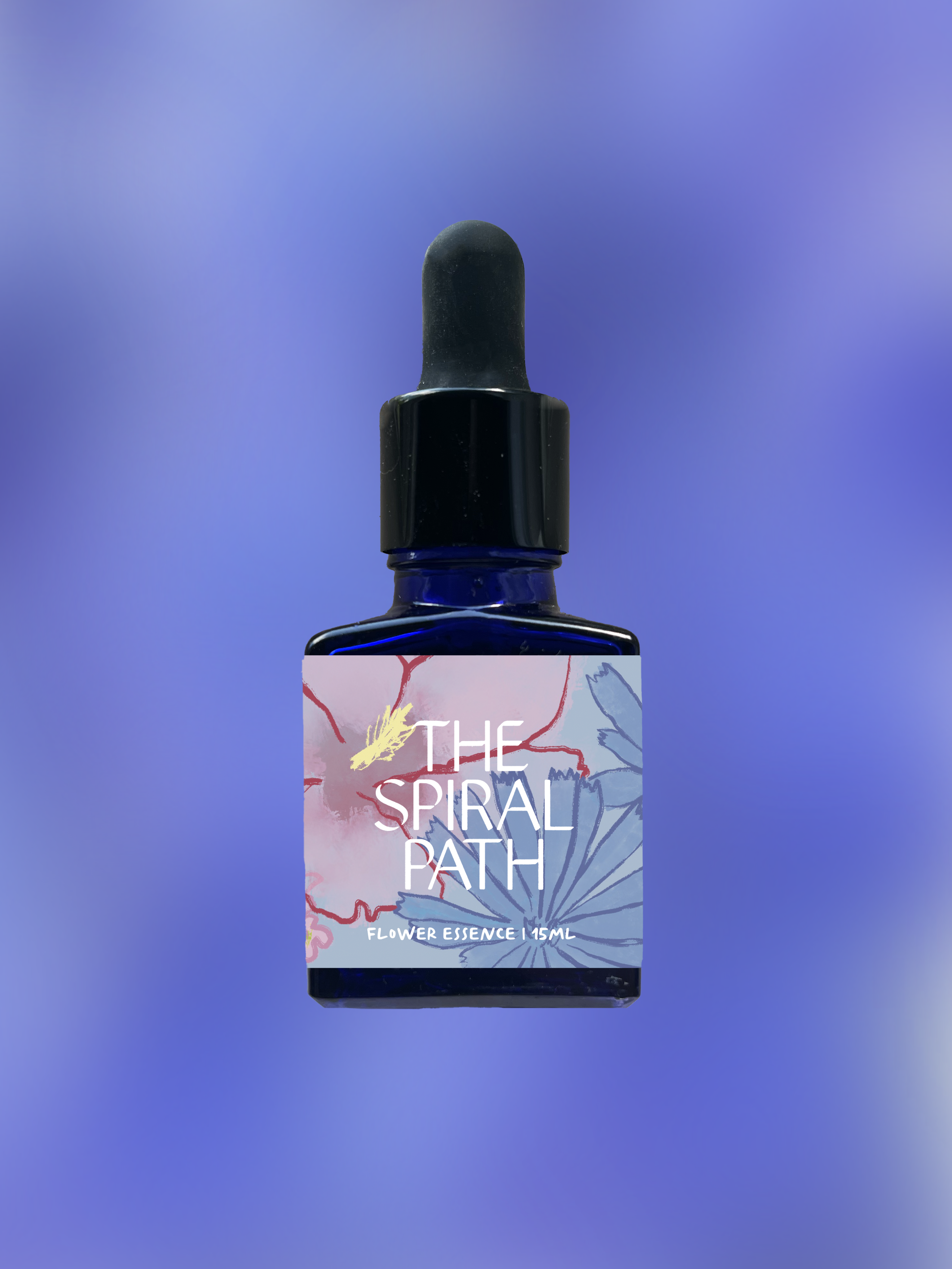 Small batch organic flower essence - feminine healing, 15mL, blue glass bottle with dropper. This essence supports emotional healing and is a sensitive medicine for sensitive people. Bluebell flower essence is a plant ally for seeing clearly.