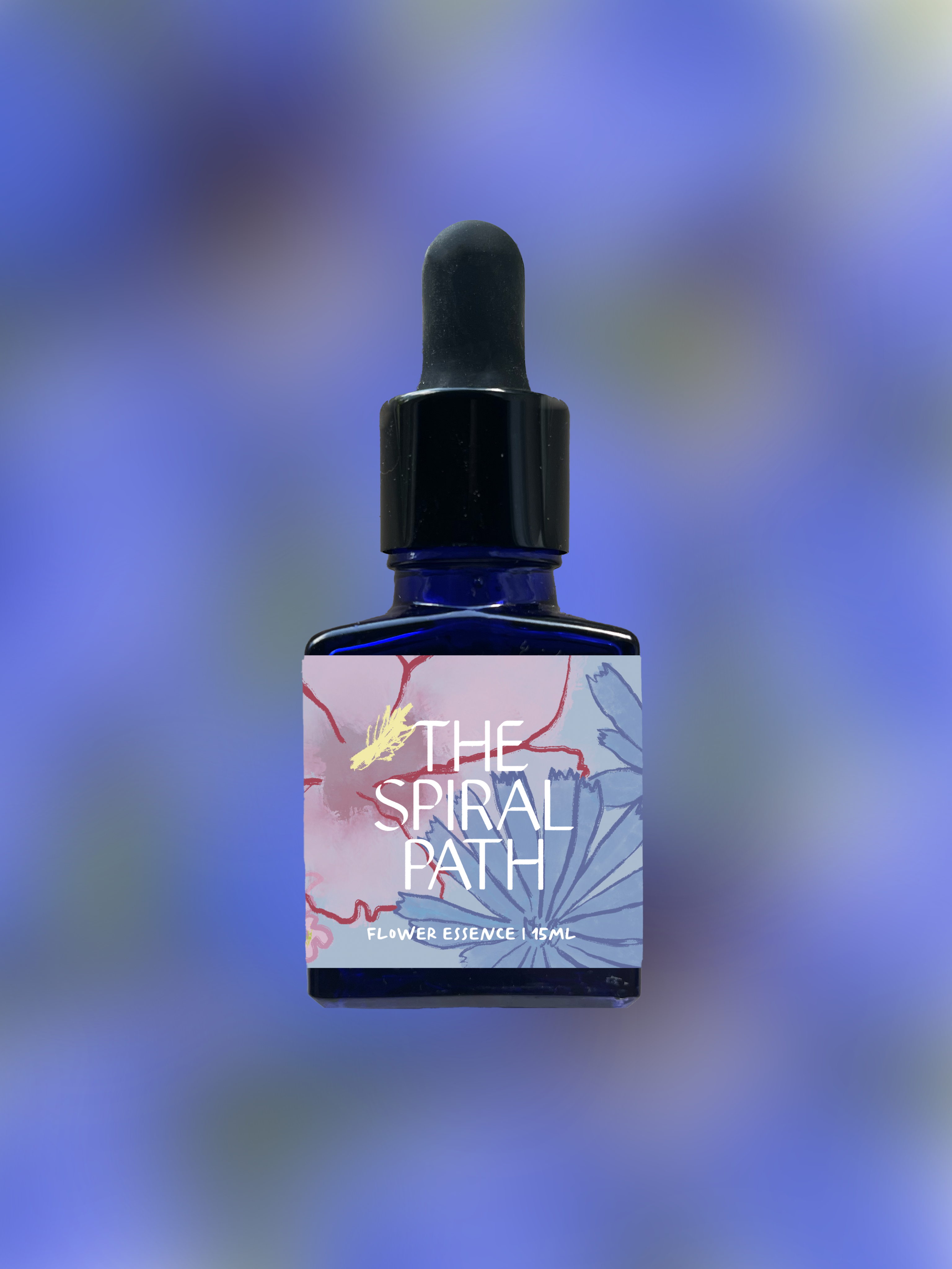Small batch organic flower essence - feminine healing, 15mL, blue glass bottle with dropper. This essence supports emotional healing and is a sensitive medicine for sensitive people. Borage flower essence is a plant ally for courage to grow.