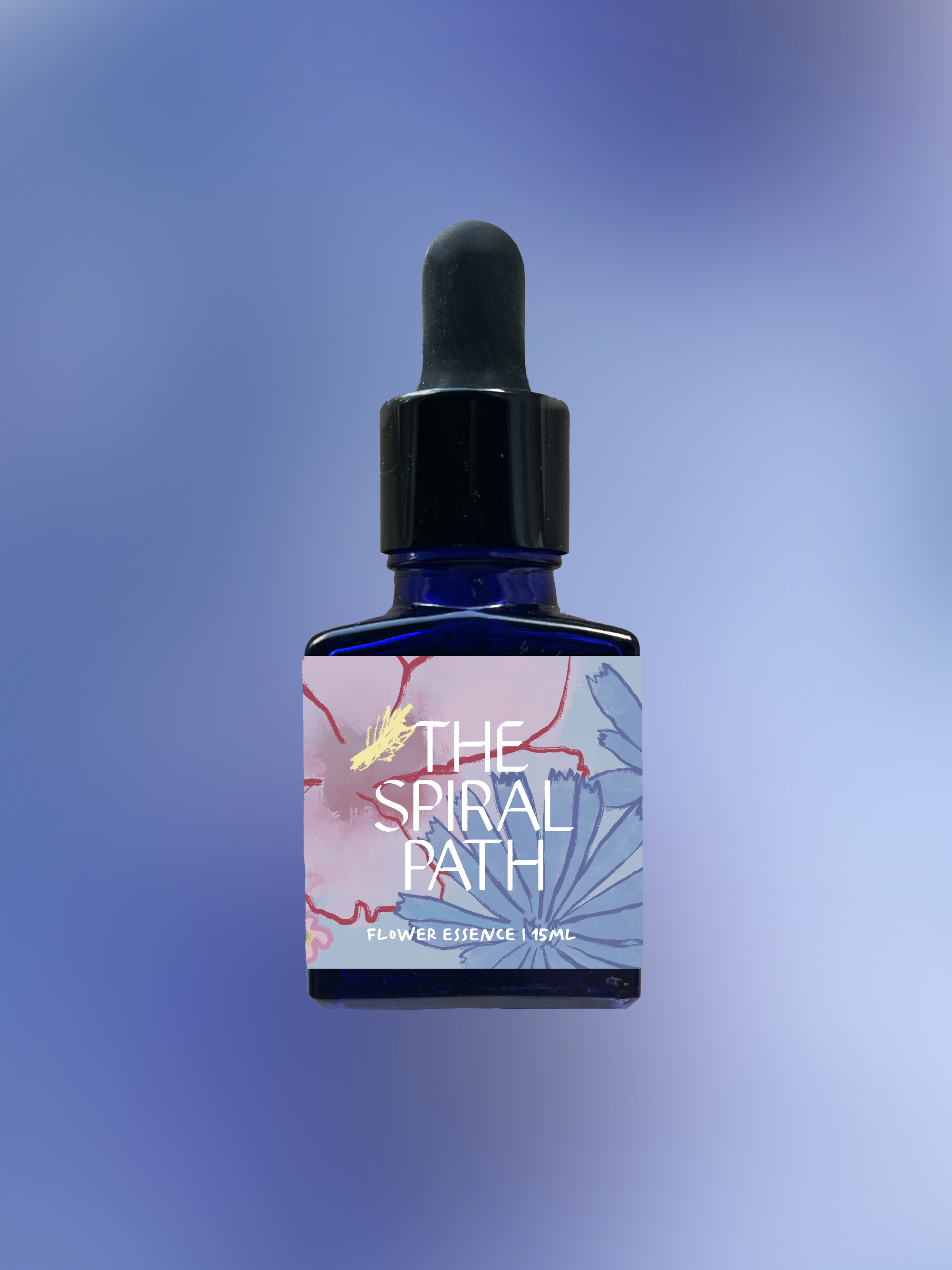 Small batch organic flower essence - feminine healing, 15mL, blue glass bottle with dropper. This essence supports emotional healing and is a sensitive medicine for sensitive people. Chicory flower essence is a plant ally for balancing martyrdom.