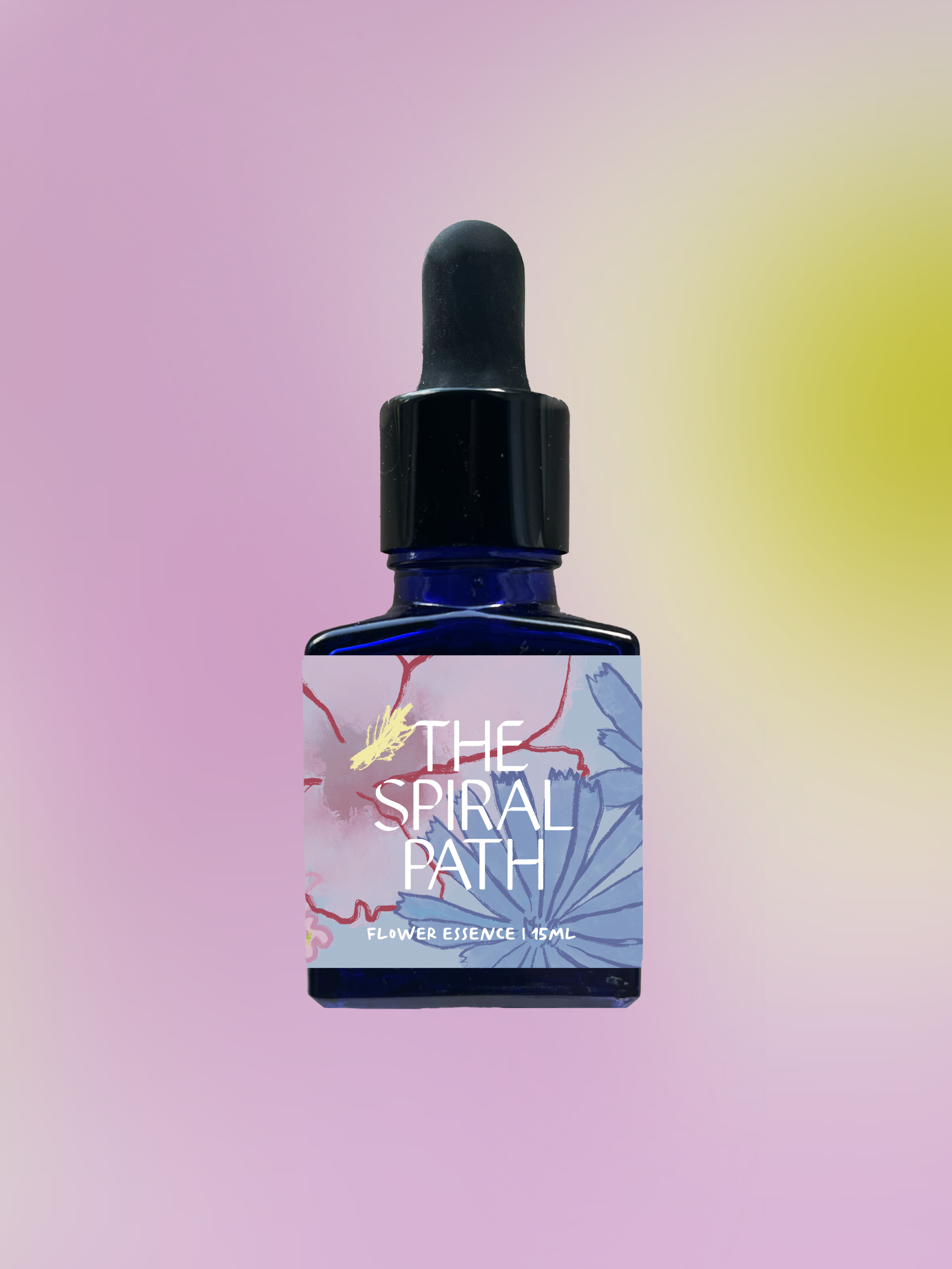Small batch organic flower essence - feminine healing, 15mL, blue glass bottle with dropper. This essence supports emotional healing and is a sensitive medicine for sensitive people. Evening Primrose flower essence is a plant ally for matrilineal healing.