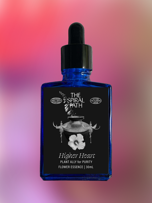 Small batch organic flower essence - feminine healing, 15mL, blue glass bottle with dropper. This essence supports emotional healing and is a sensitive medicine for sensitive people. Higher Heart flower essence is a plant ally for Purity. foxglove, rose of sharon, fuchsia.