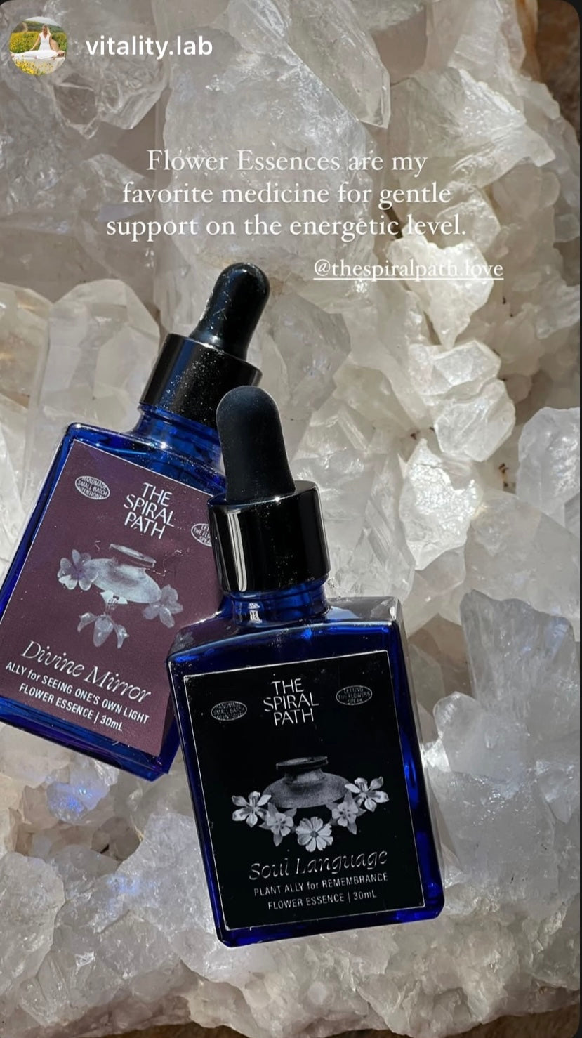 <h2>Supporting Sensitive People Across the Globe</h2>