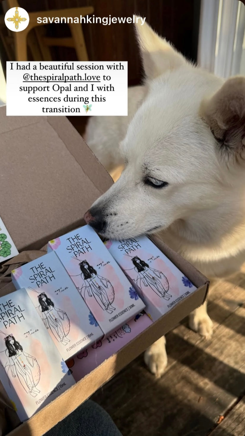 <h2>Supporting Sensitive People Across the Globe</h2>