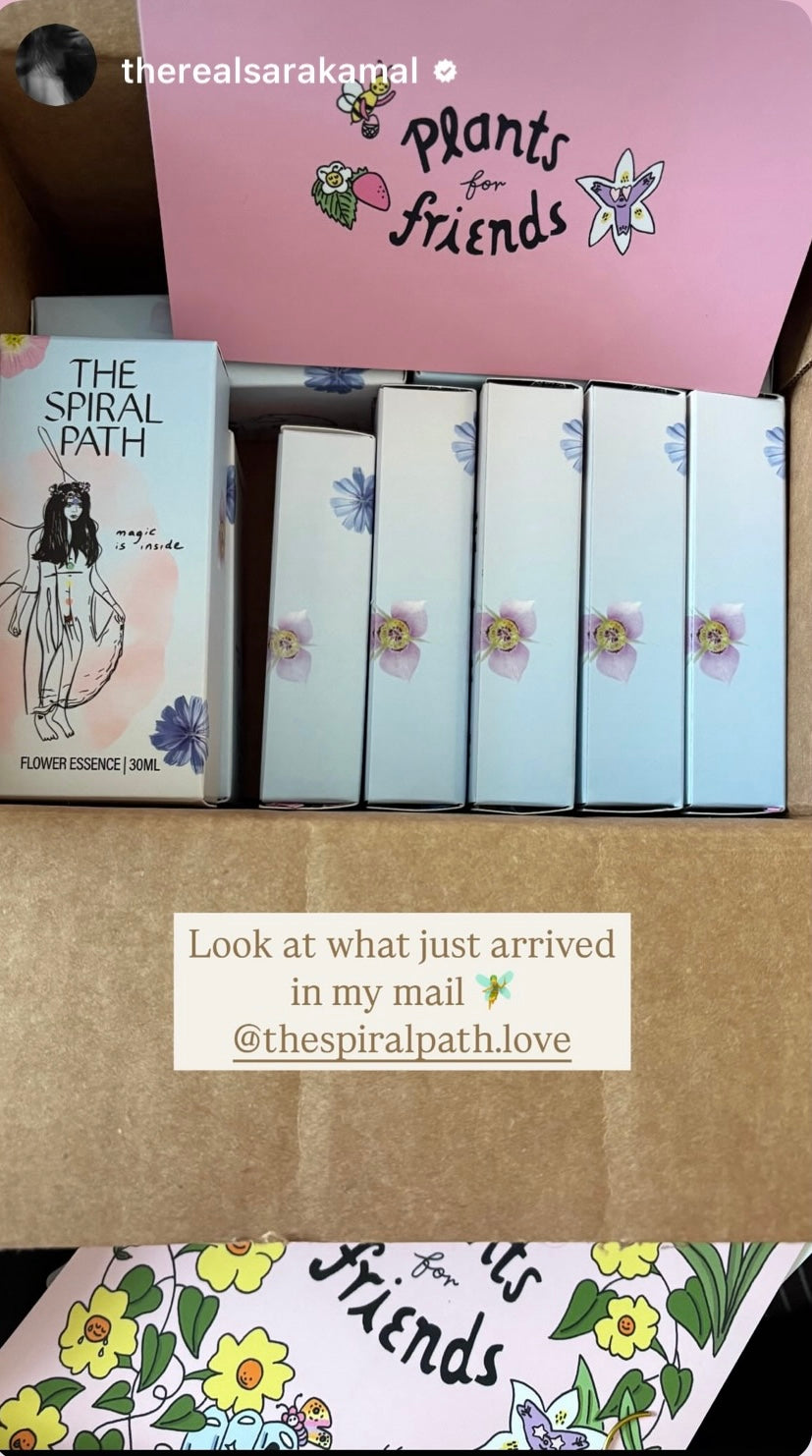 <h2>Supporting Sensitive People Across the Globe</h2>