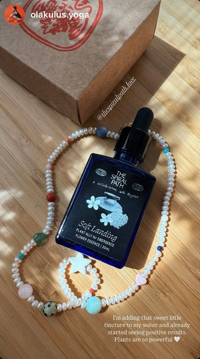 <h2>Supporting Sensitive People Across the Globe</h2>