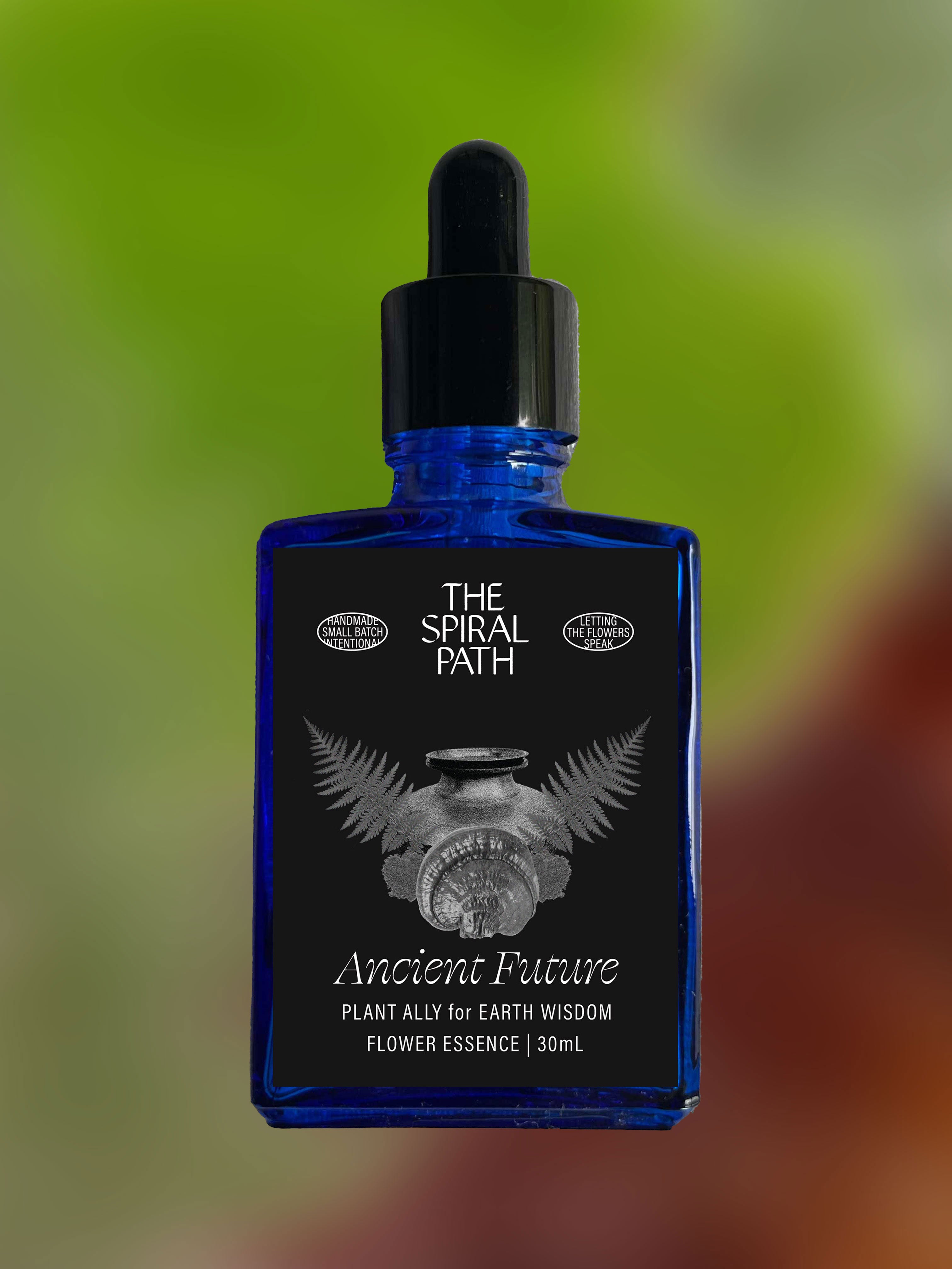 Small batch organic flower essence - feminine healing, 15mL, blue glass bottle with dropper. This essence supports emotional healing and is a sensitive medicine for sensitive people. Ancient Future flower essence is a plant ally for earth wisdom. Moss, Fern, Reishi.