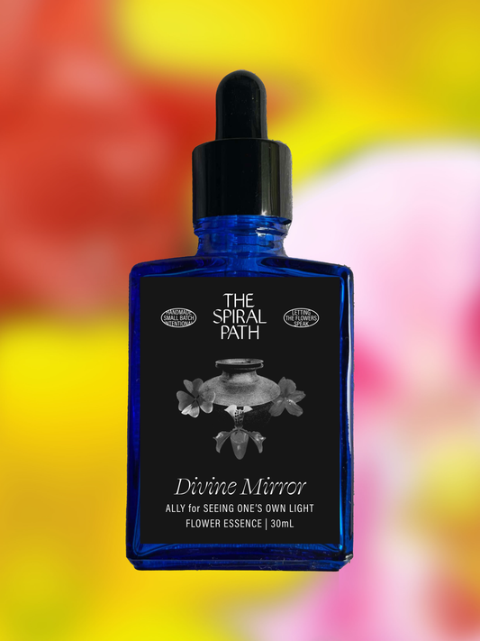 Small batch organic flower essence - feminine healing, 15mL, blue glass bottle with dropper. This essence supports emotional healing and is a sensitive medicine for sensitive people. Divine Mirror flower essence is a plant ally for seeing one's own light. Lady Slipper, Flame Azalea, and Wood Sorrel.