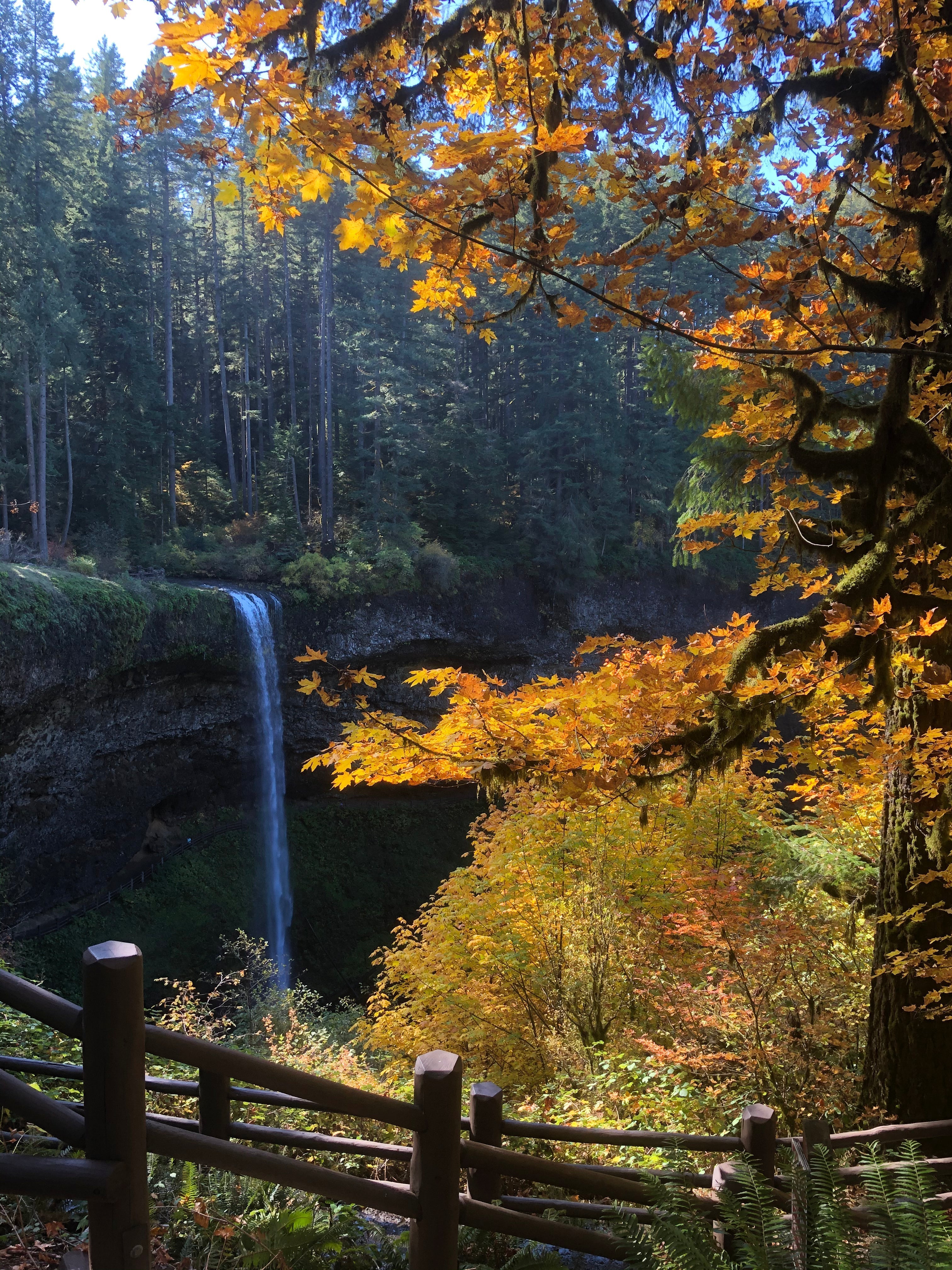 The Autumnal Invitation