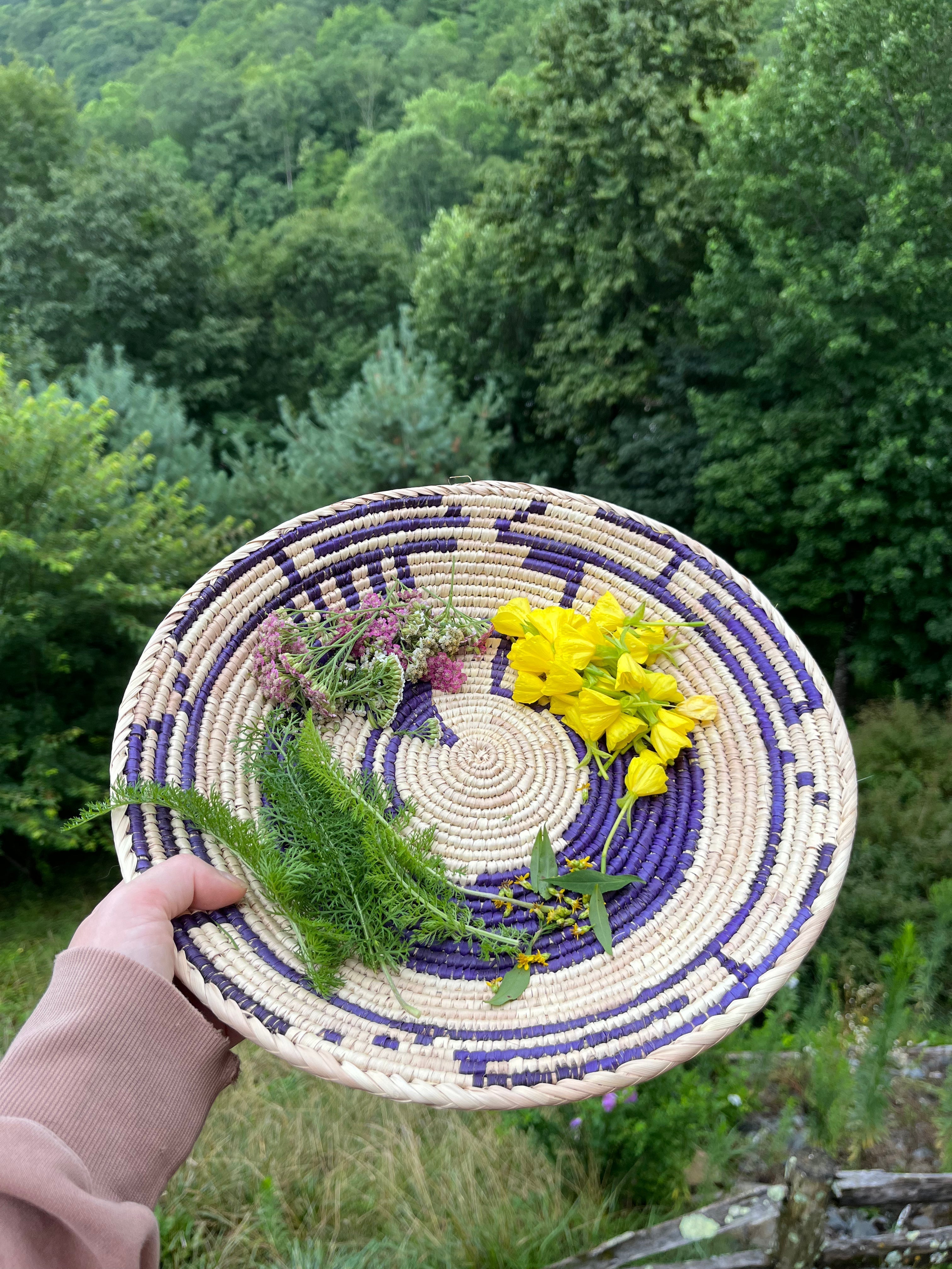 The Spiritual Properties of Evening Primrose