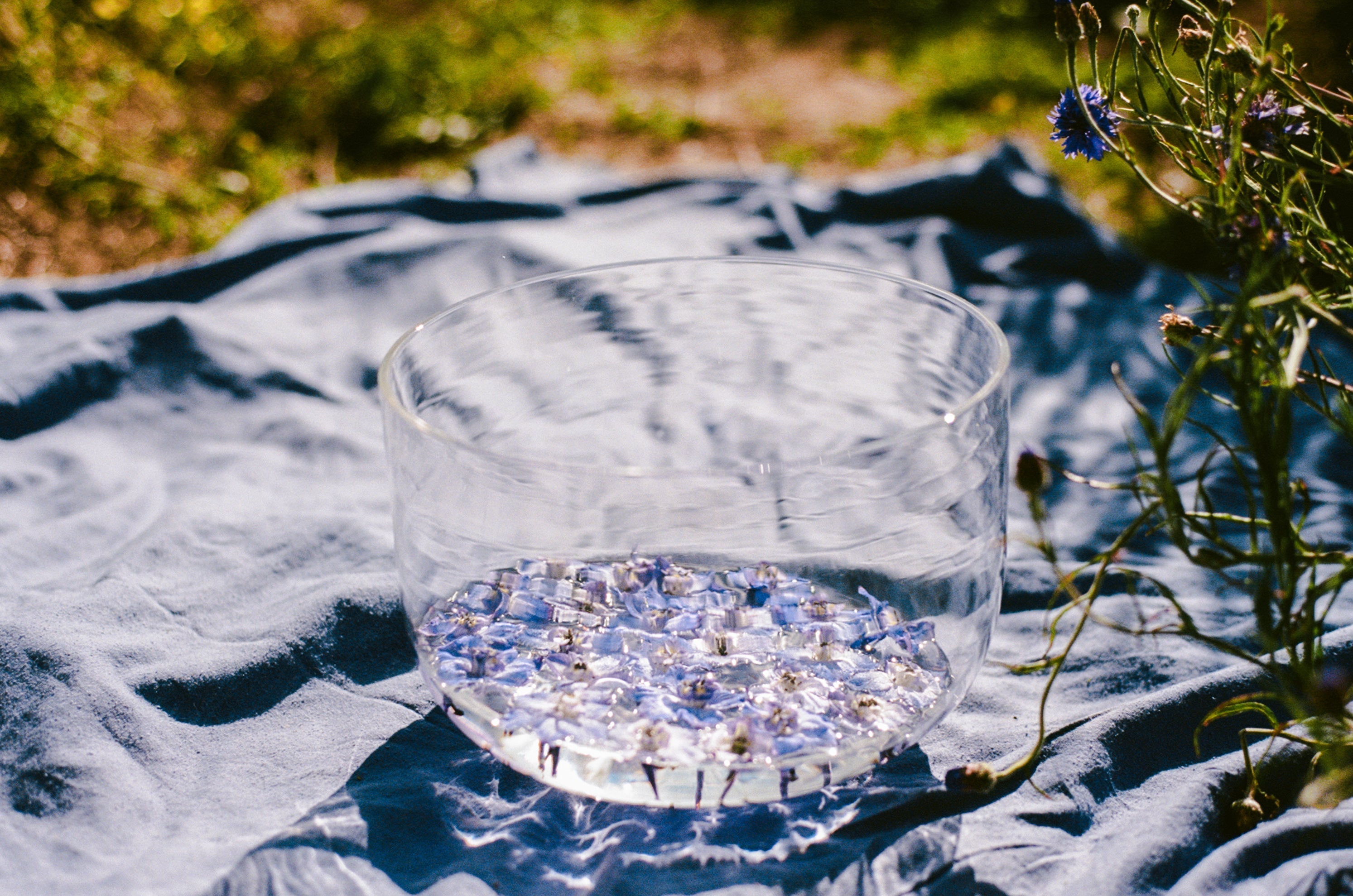 The Cosmic Art of Flower Essence Making