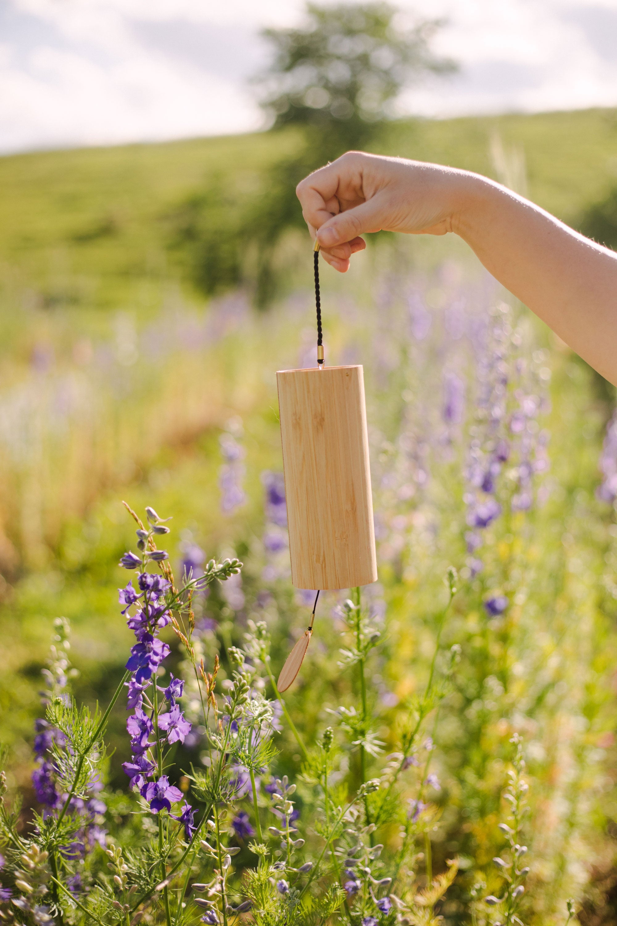 The Essence of Aquarius