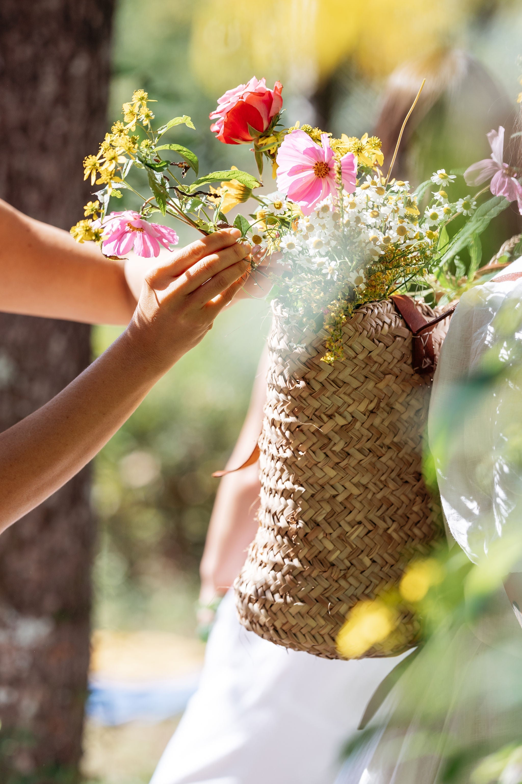 Flower Essences for Abundance