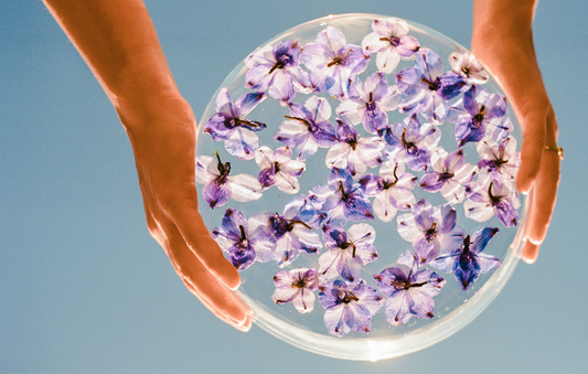 What Are Flower Essences? A Guide to Vibrational Medicine