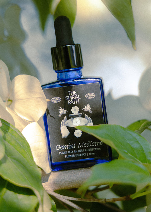 Gemini Medicine