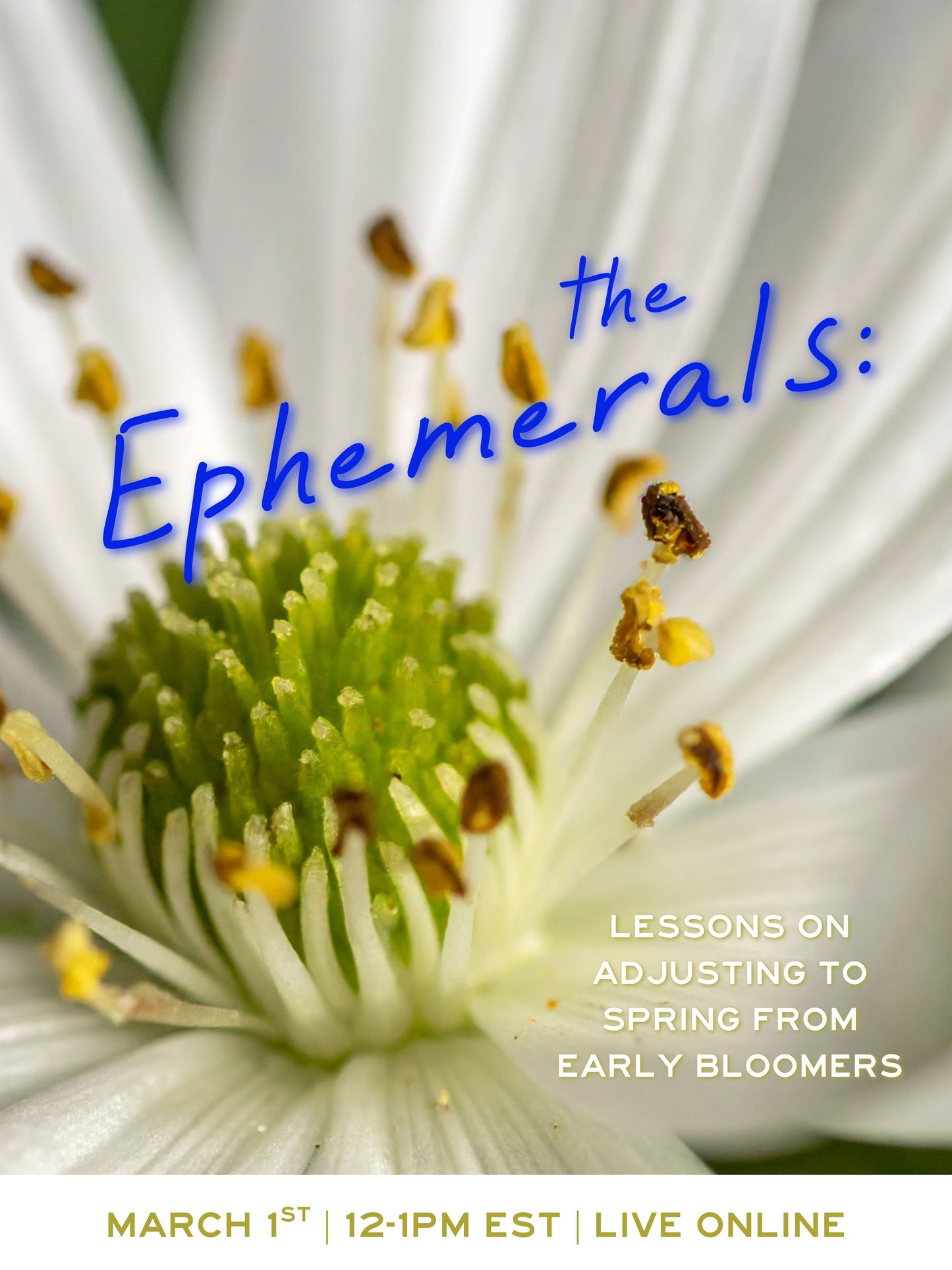 The Ephemerals