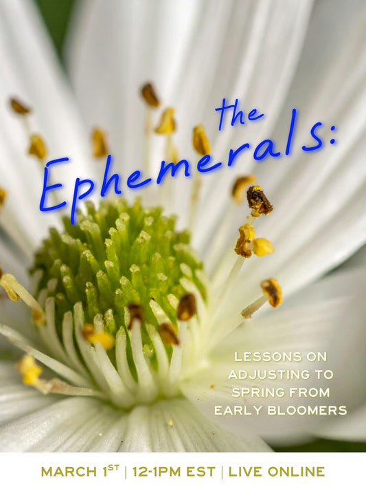 The Ephemerals