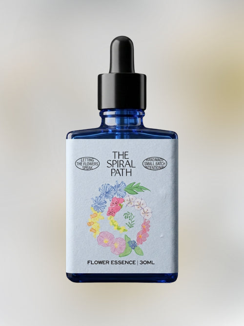 Anemone Flower Essence
