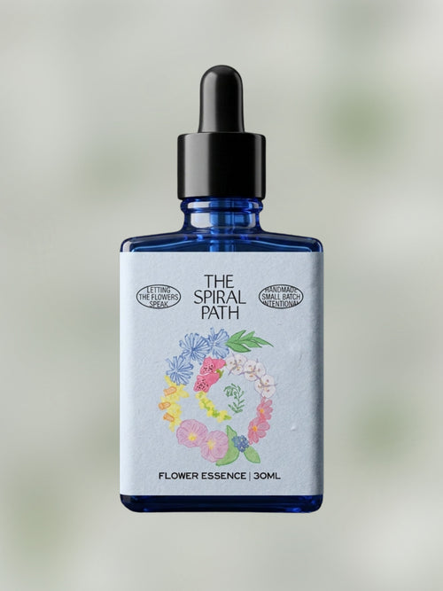 Angelica Flower Essence