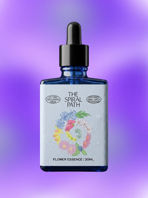 Bellflower Flower Essence