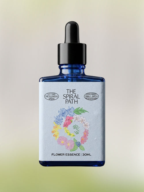 Black Cohosh Flower Essence