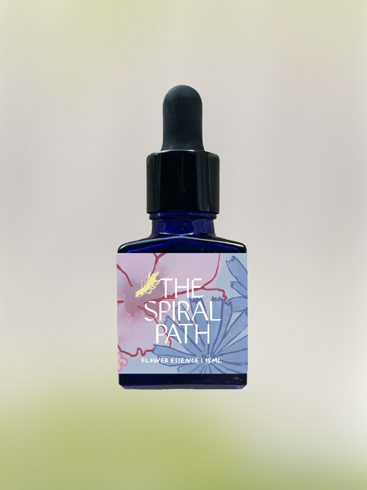 small batch organic flower essence in 15mL blue glass bottle with dropper - feminine healing, sensitive medicine, Black Cohosh flower essence for emotional healing