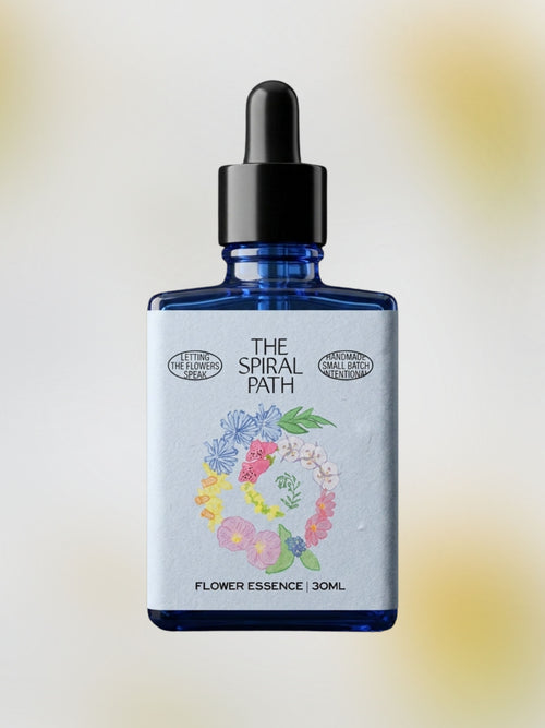 Bloodroot Flower Essence