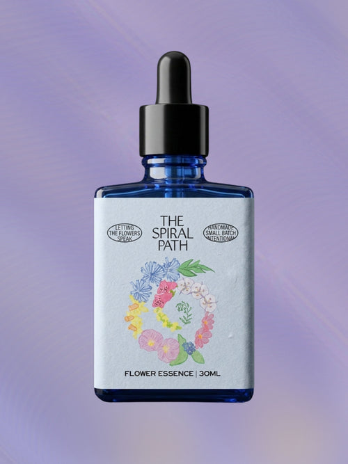 Bluets Flower Essence