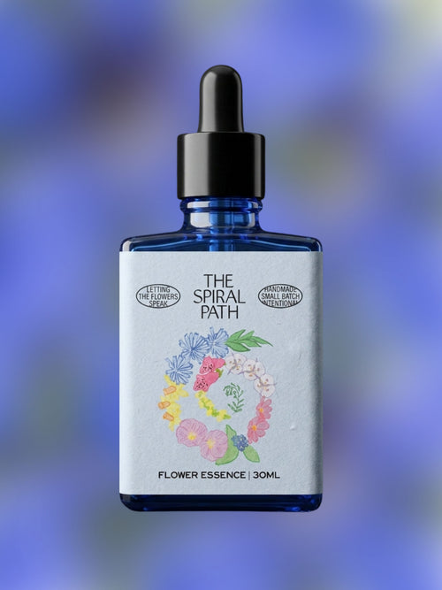 Borage Flower Essence