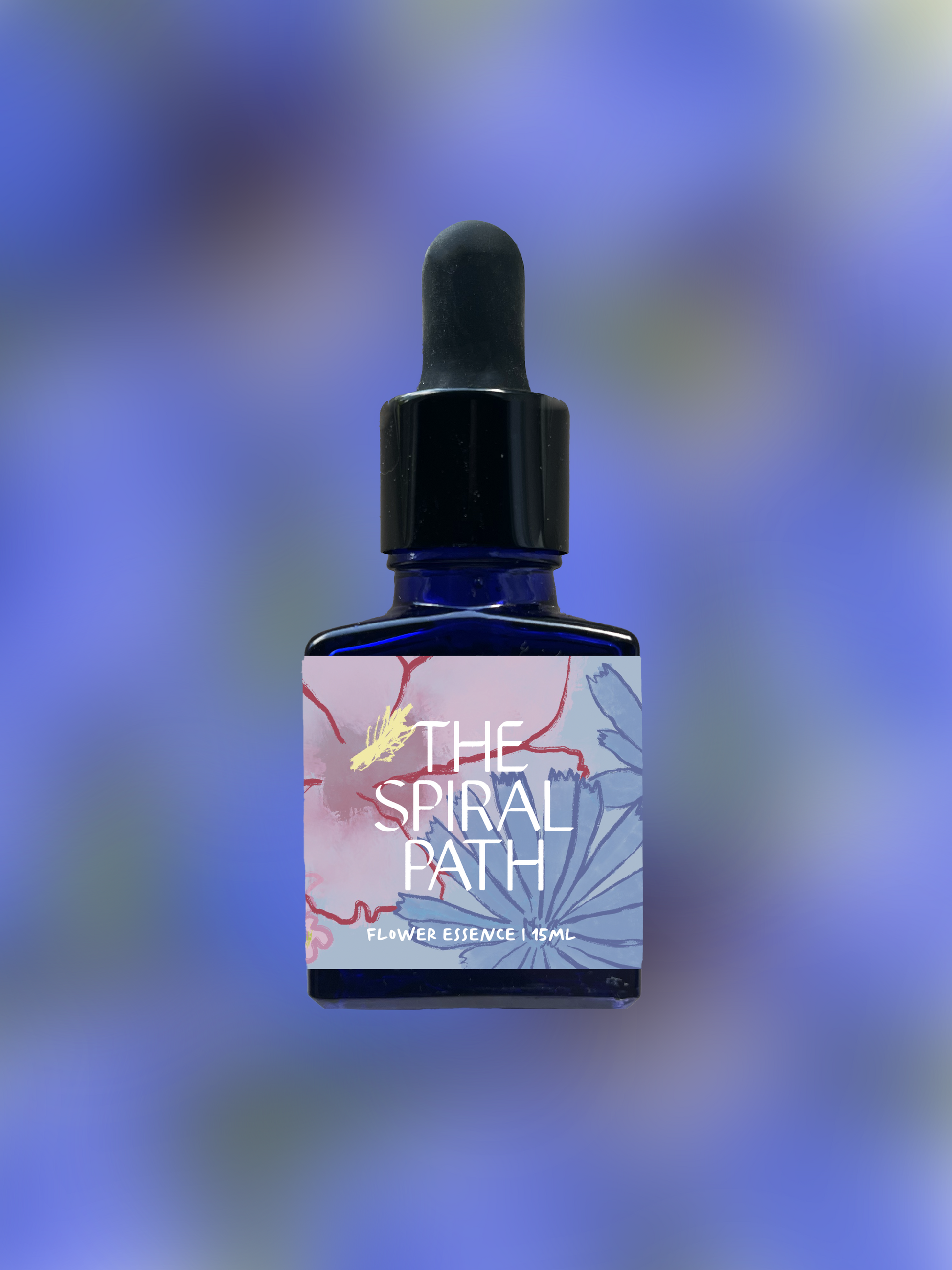 Small batch organic flower essence - feminine healing, 15mL, blue glass bottle with dropper. This essence supports emotional healing and is a sensitive medicine for sensitive people. Borage flower essence is a plant ally for courage to grow. 
