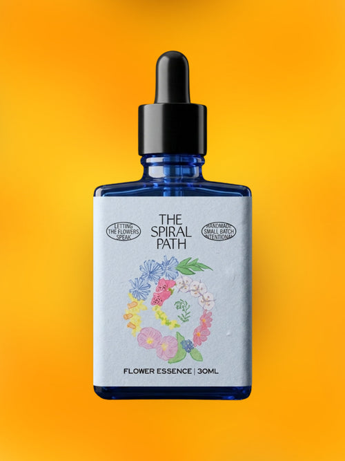 Calendula Flower Essence