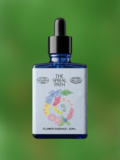 Cedar Flower Essence
