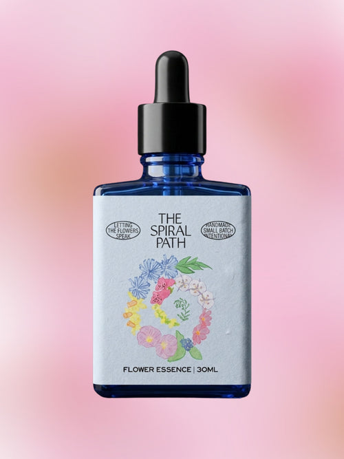 Cherry Blossom Flower Essence
