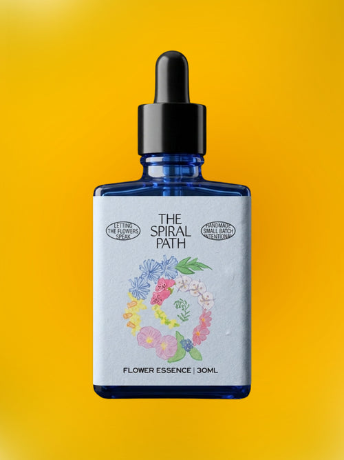 Coreopsis Flower Essence