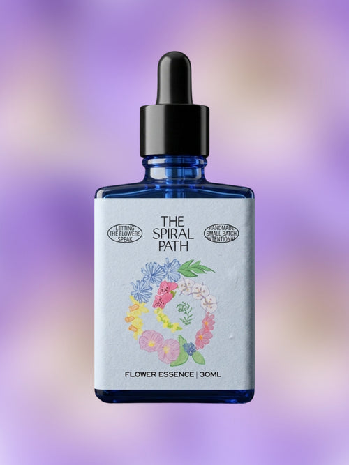 Cranesbill Flower Essence