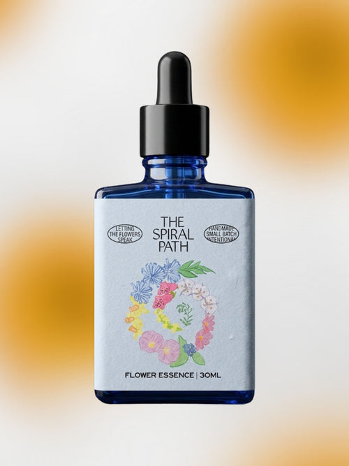 Daisy Flower Essence