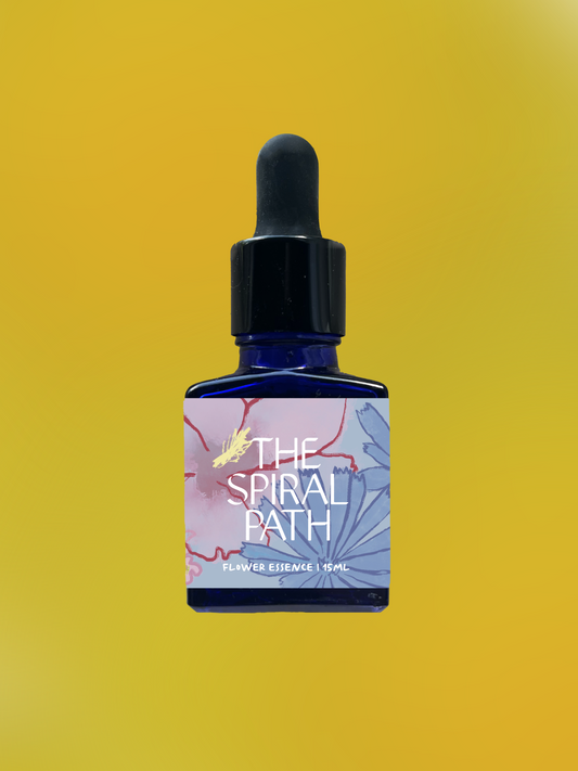 Small batch organic flower essence - feminine healing, 15mL, blue glass bottle with dropper. This essence supports emotional healing and is a sensitive medicine for sensitive people. Dandelion flower essence for cultivating resiliency and building tenacity  
