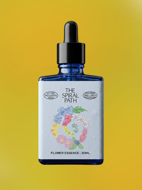 Dandelion Flower Essence