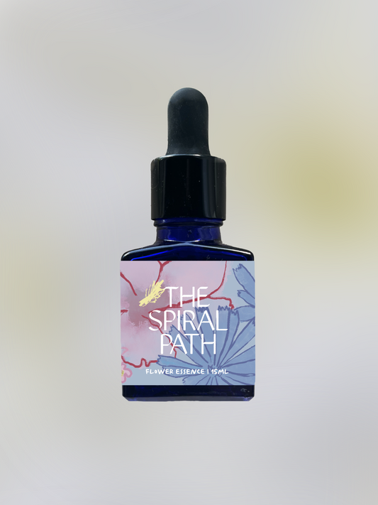 Small batch organic flower essence - feminine healing, 15mL, blue glass bottle with dropper. This essence supports emotional healing and is a sensitive medicine for sensitive people. Datura flower essence 