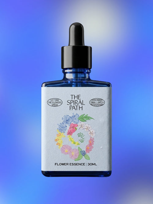 Delphinium Flower Essence