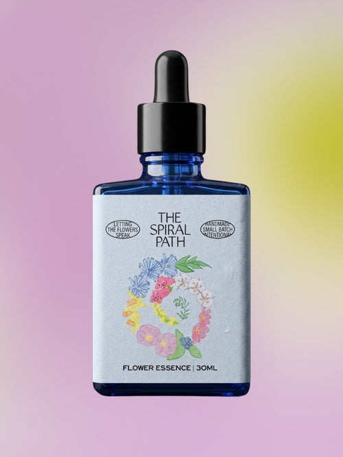 Evening Primrose Flower Essence
