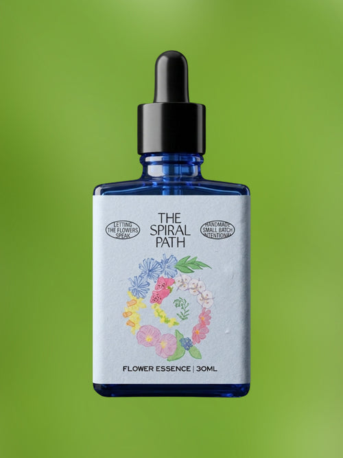 Fern Flower Essence