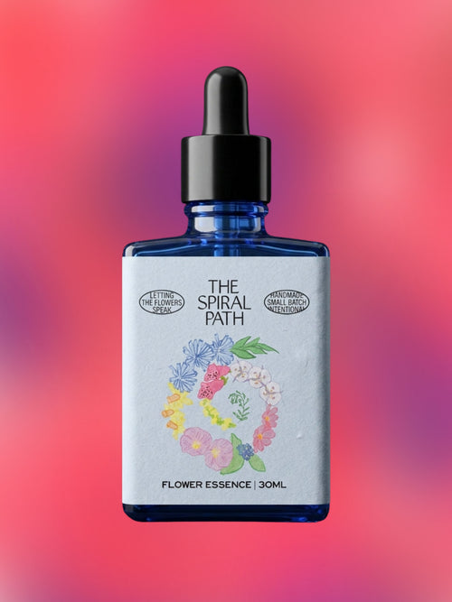 Fuchsia Flower Essence