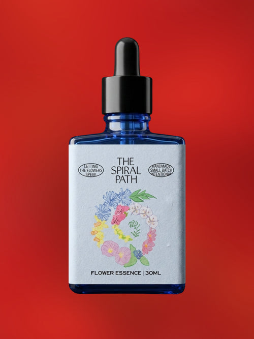 Maple Flower Essence