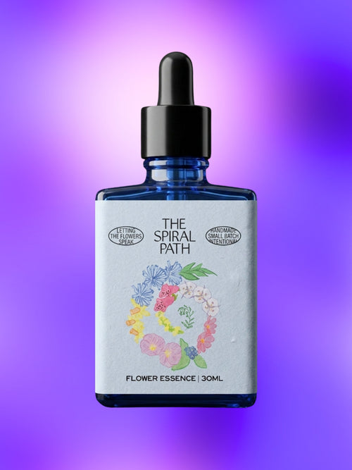 Morning Glory Flower Essence