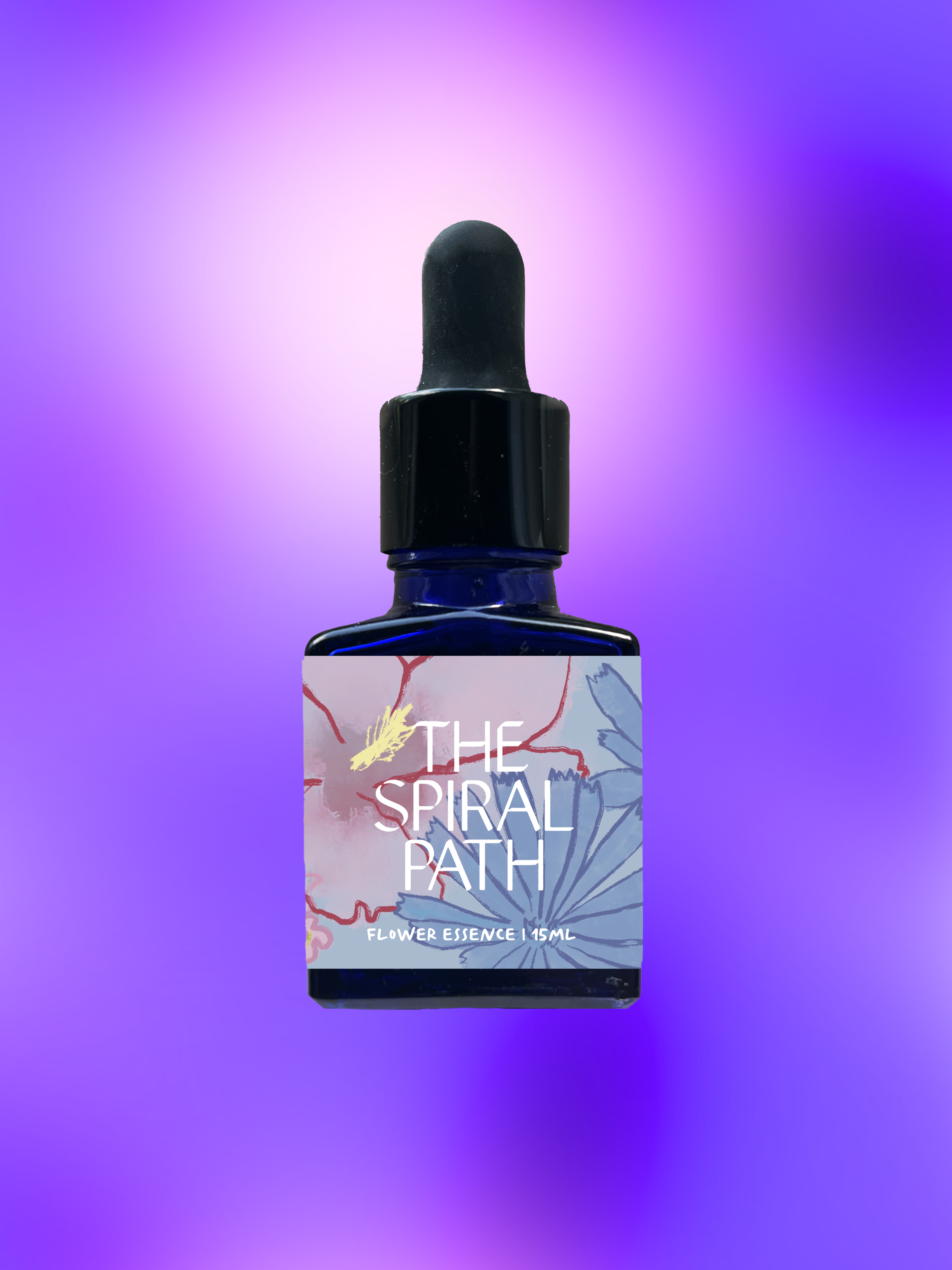 Small batch organic flower essence - feminine healing, 15mL, blue glass bottle with dropper. This flower essence supports emotional healing and is a sensitive medicine for sensitive people. Morning Glory flower essence is a plant ally for divine guidance. 
