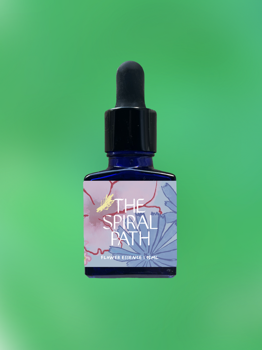 Small batch organic flower essence - feminine healing, 15mL, blue glass bottle with dropper. This essence supports emotional healing and is a sensitive medicine for sensitive people. Mugwort flower essence is a plant ally for Psychic Integration